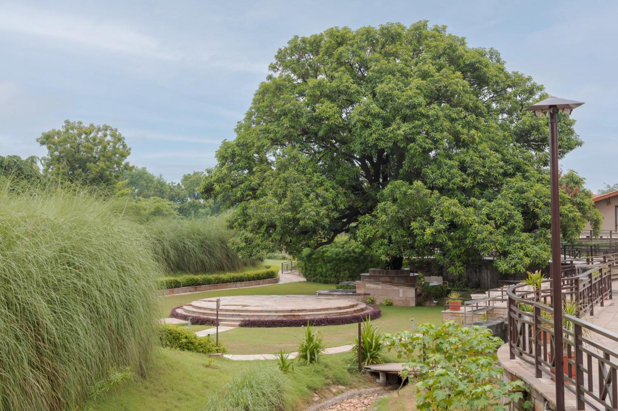 סוואי מדופור Aamaghati Wildlife Resort, Ranthambore מראה חיצוני תמונה